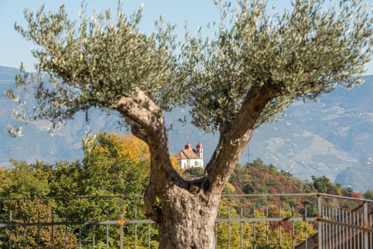 Nofnerhof Daire Appiano Sulla Strada Del Vino Dış mekan fotoğraf
