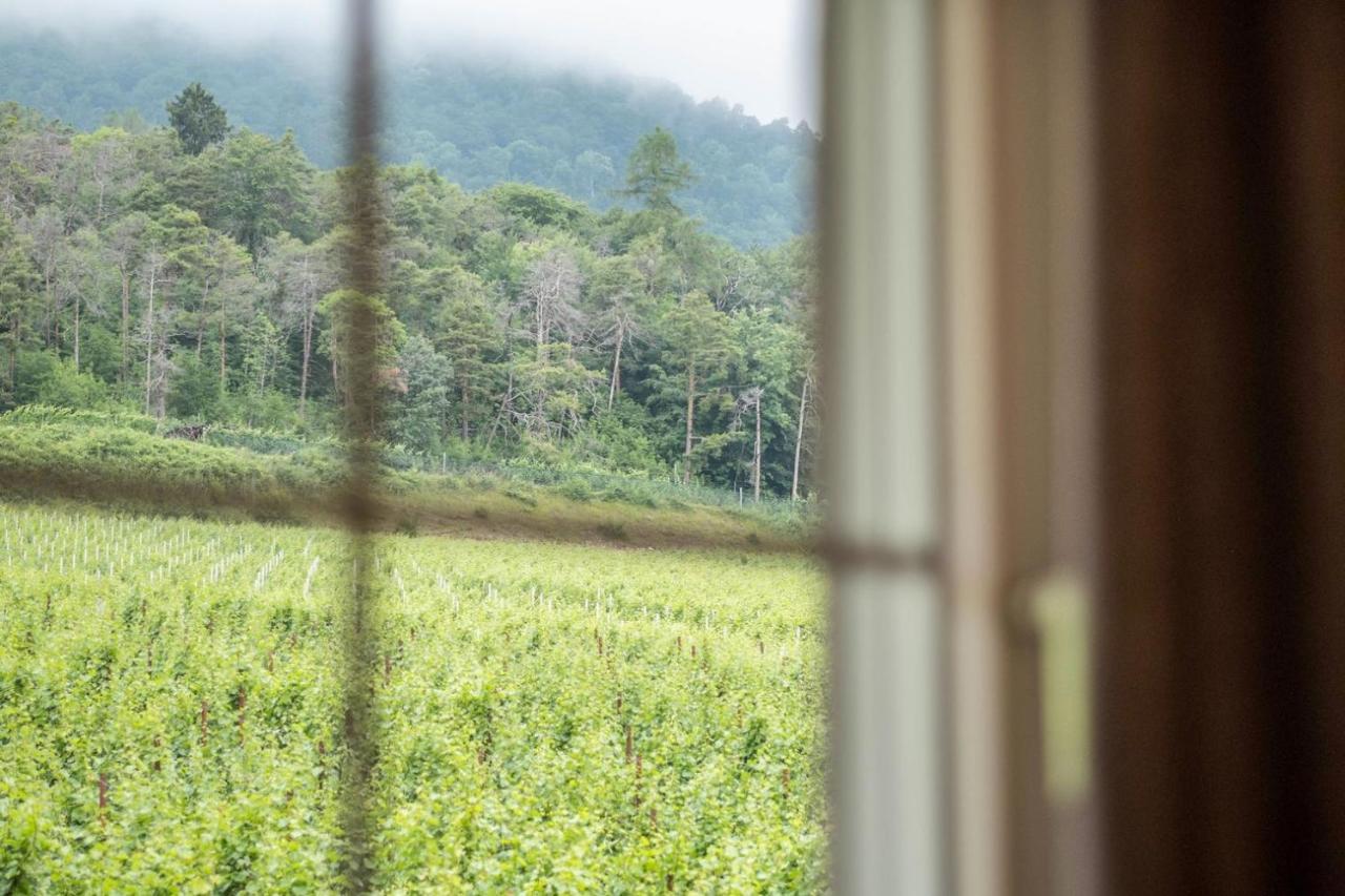 Nofnerhof Daire Appiano Sulla Strada Del Vino Dış mekan fotoğraf