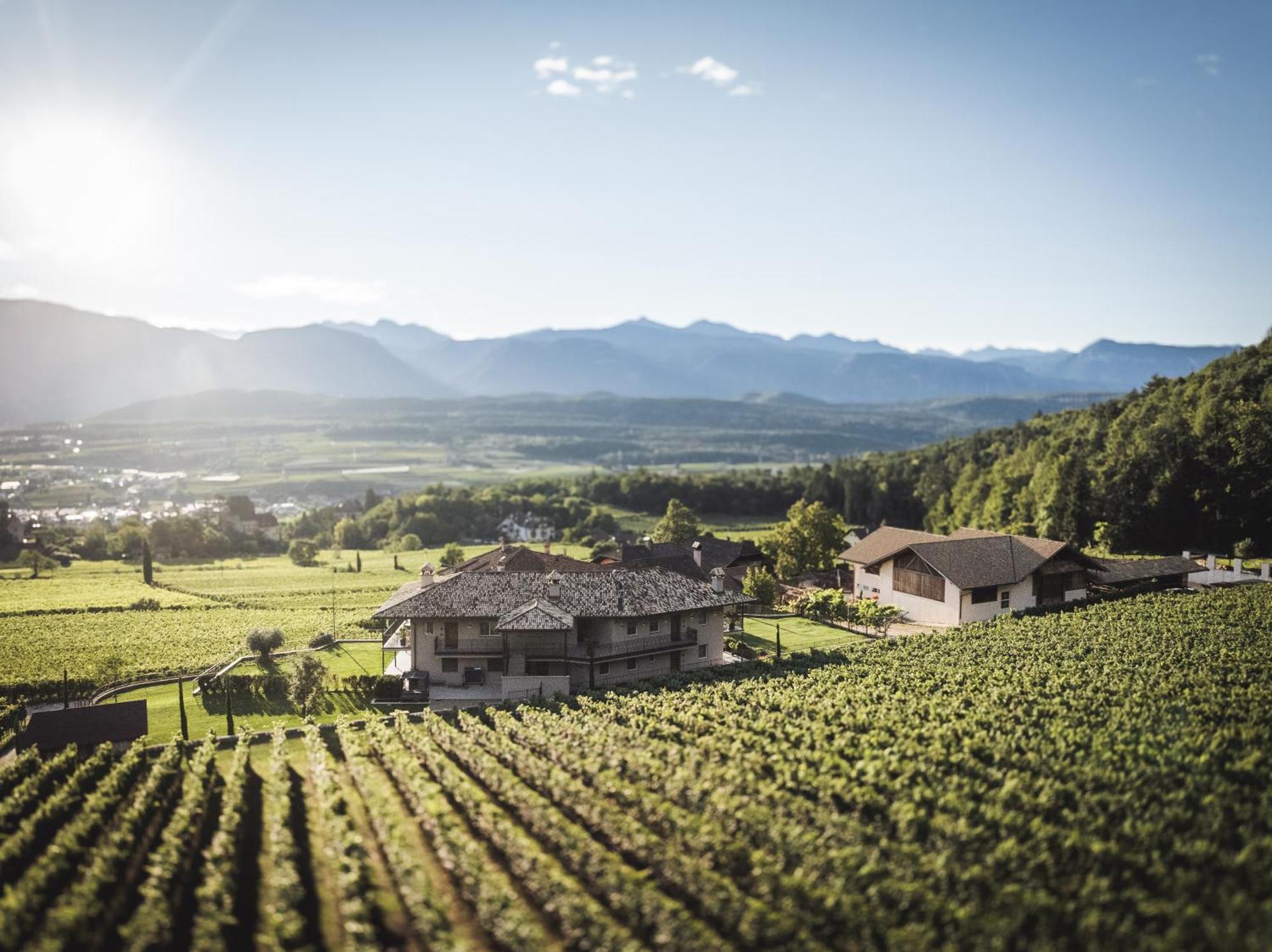 Nofnerhof Daire Appiano Sulla Strada Del Vino Dış mekan fotoğraf