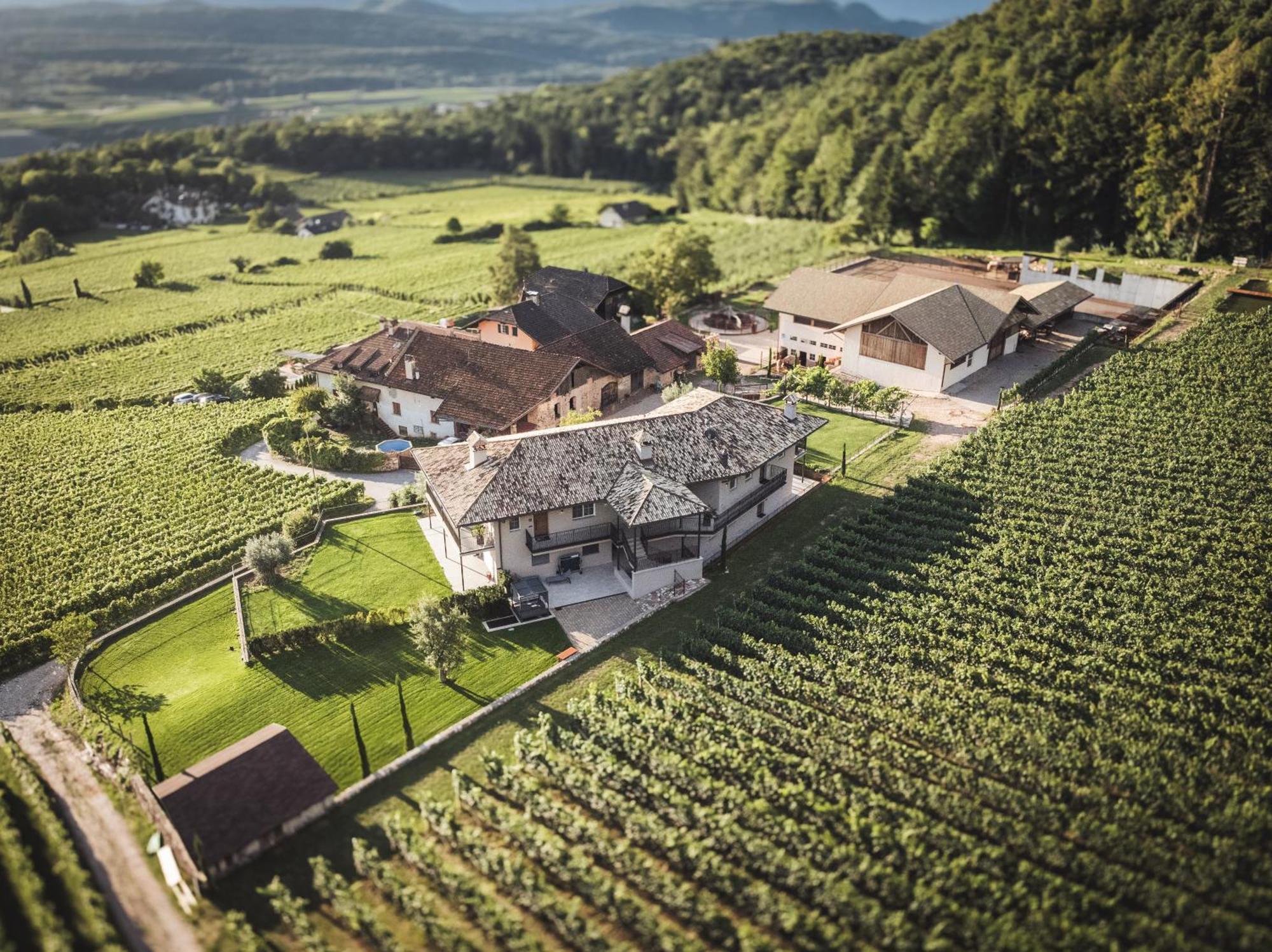 Nofnerhof Daire Appiano Sulla Strada Del Vino Dış mekan fotoğraf